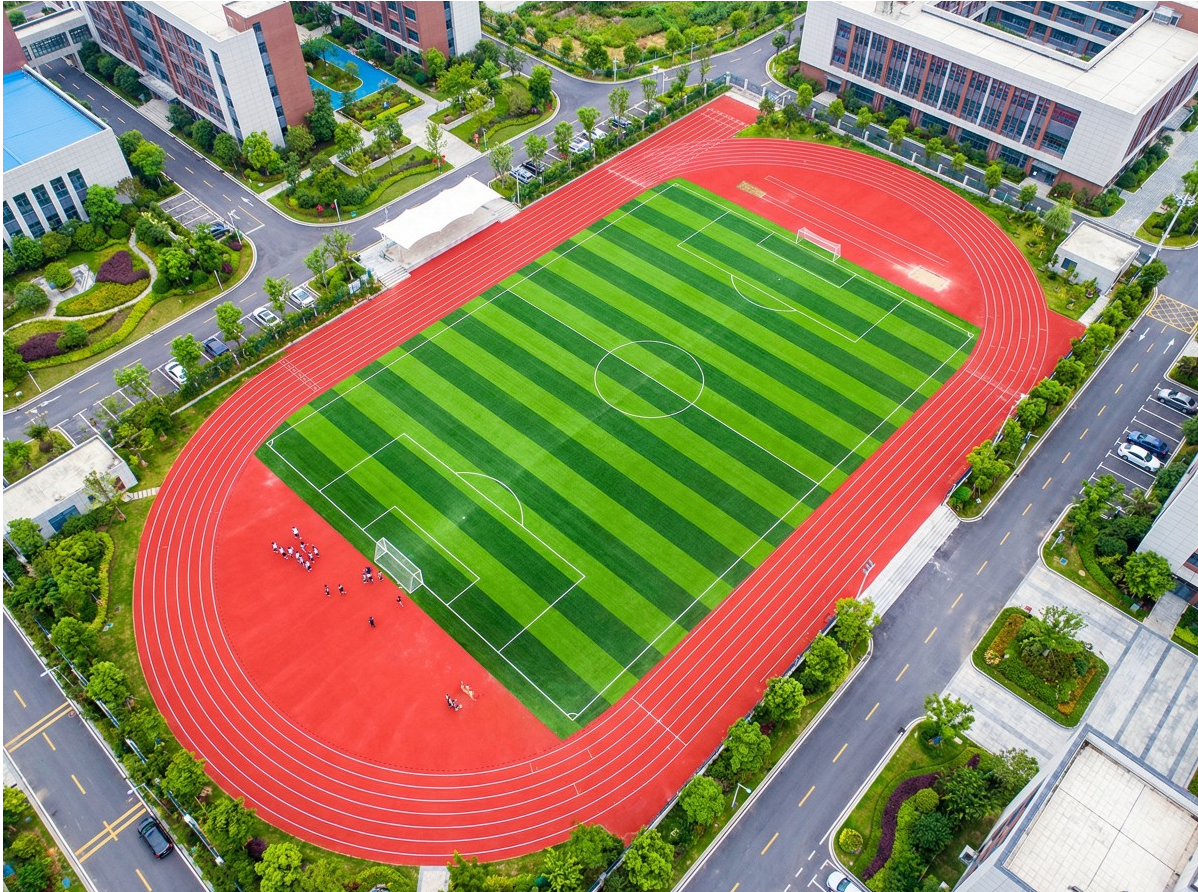 双鸭山市混合型塑胶跑道学校塑胶跑道 - 厂家